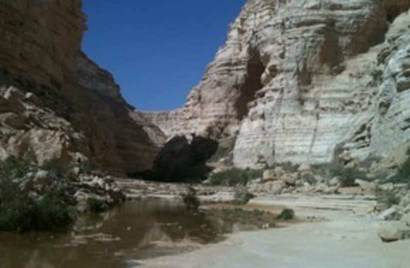Negev desert scenery 311 (photo credit: Joe Yudin)