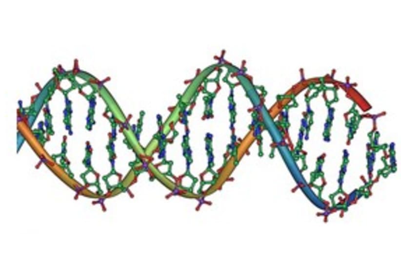 DNA strand double helix 311 (photo credit: Jerome Walker)