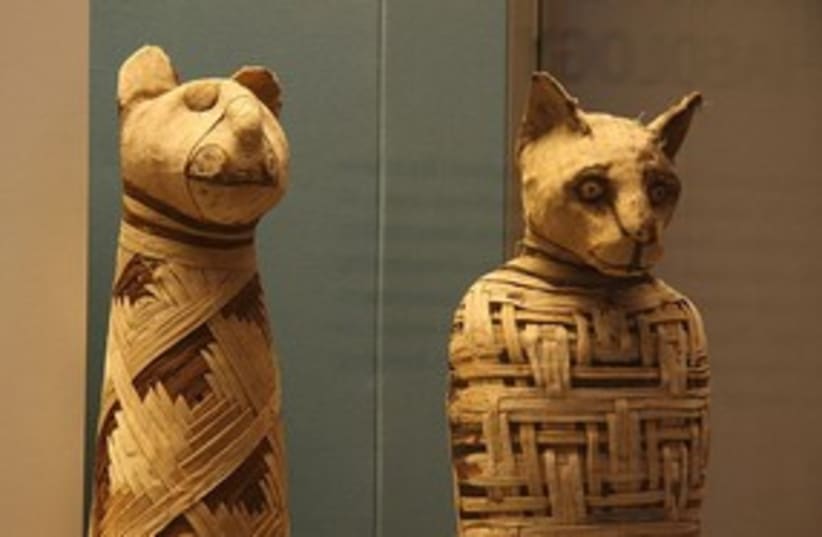 animal mummies (photo credit: British Museum)