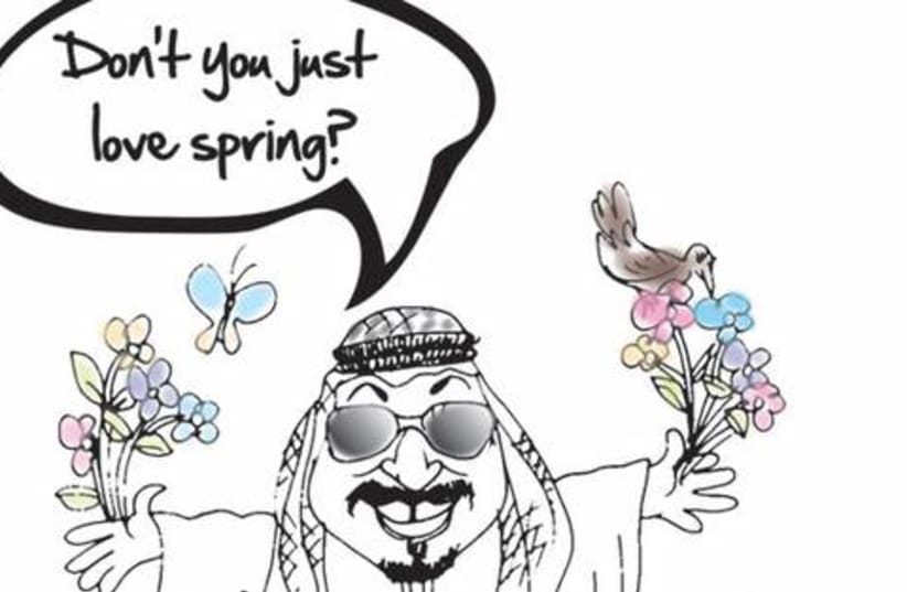 Arab Spring (photo credit: Michael Cohen)