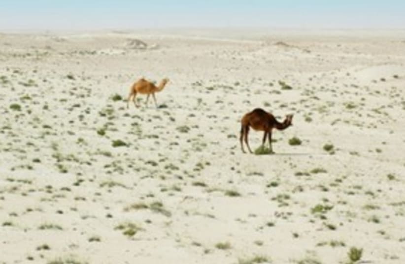Qatar desert scape_311 (photo credit: Thinkstock/Imagebank)