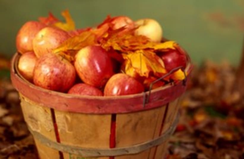 Apples! Autumn! _311 (photo credit: Thinkstock/Imagebank)