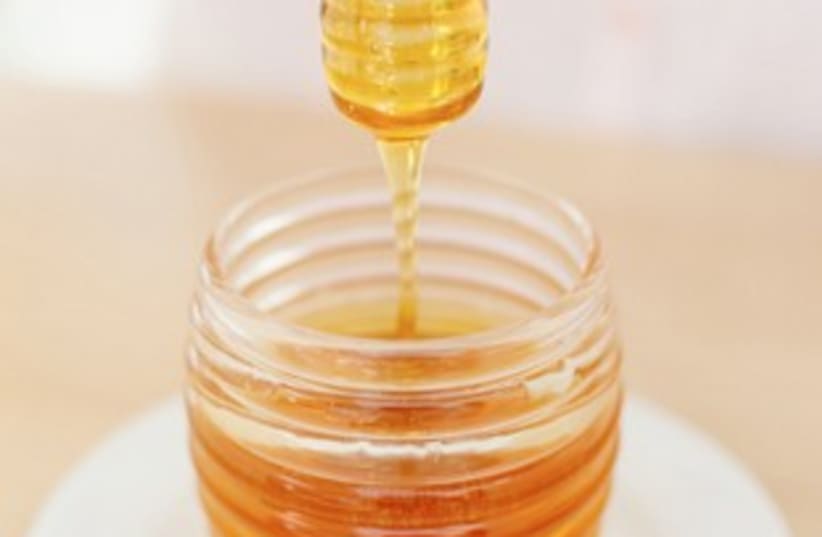 Honey 311 TS (photo credit: Thinkstock/Imagebank)