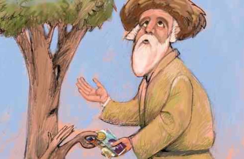 old Jew giving money tree cartoon 521 (photo credit: Avi Katz)