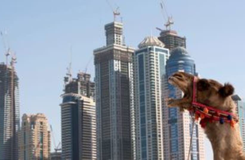 Construction in Dubai with camel yawn 311 (R) (photo credit: REUTERS/Steve Crisp)