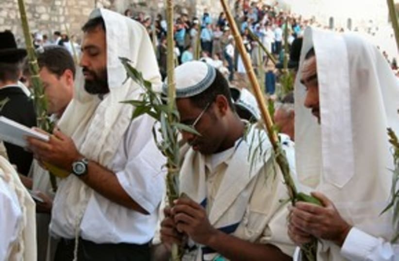 People pray at Kotel with lulav and etrog 311 (photo credit: BiblePlaces.com)