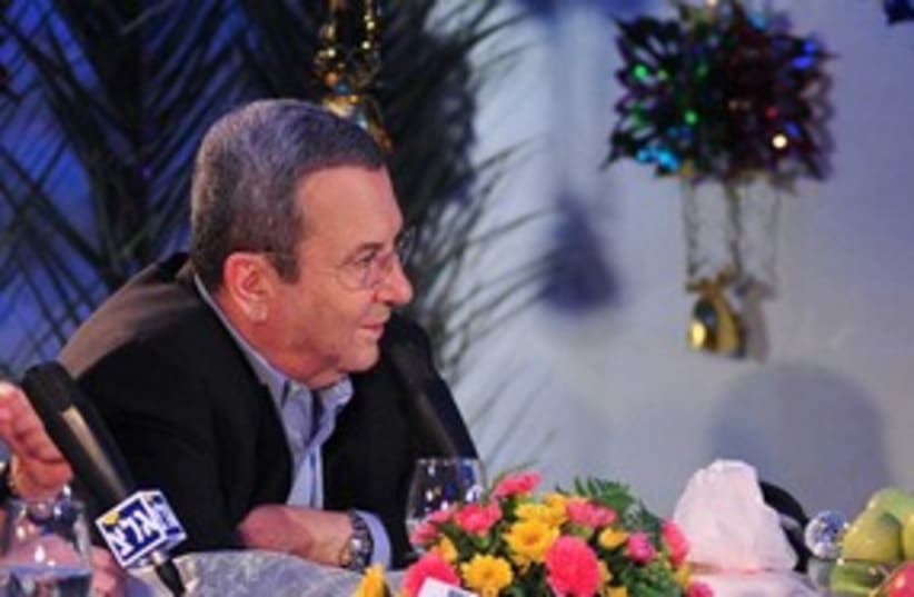 Defense Minister Ehud Barak 311 (photo credit: Linoy Elihai / Defense Ministry)