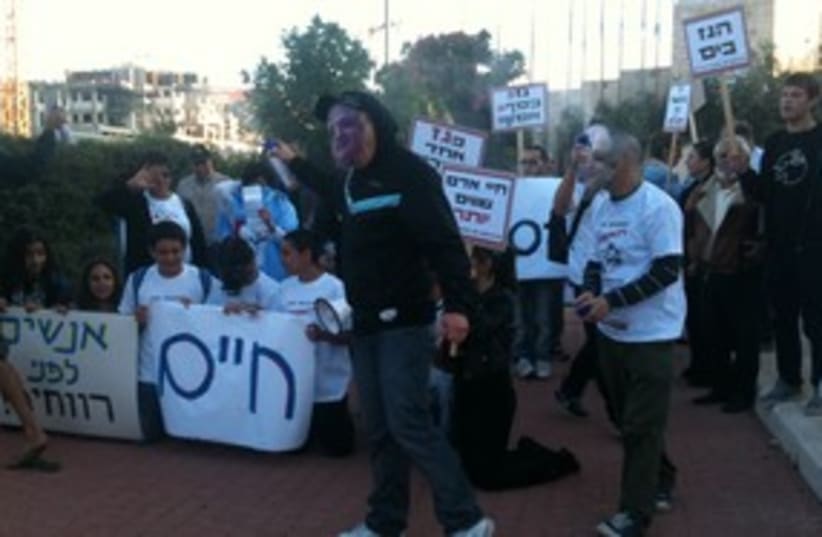 Enviromental demonstrators  (photo credit: Sharon Udasin)