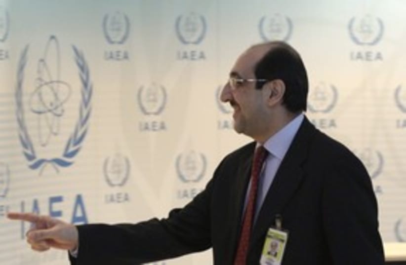 Syrian ambassador to IAEA attends conference  R 311 (photo credit: Herwig Prammer / Reuters)