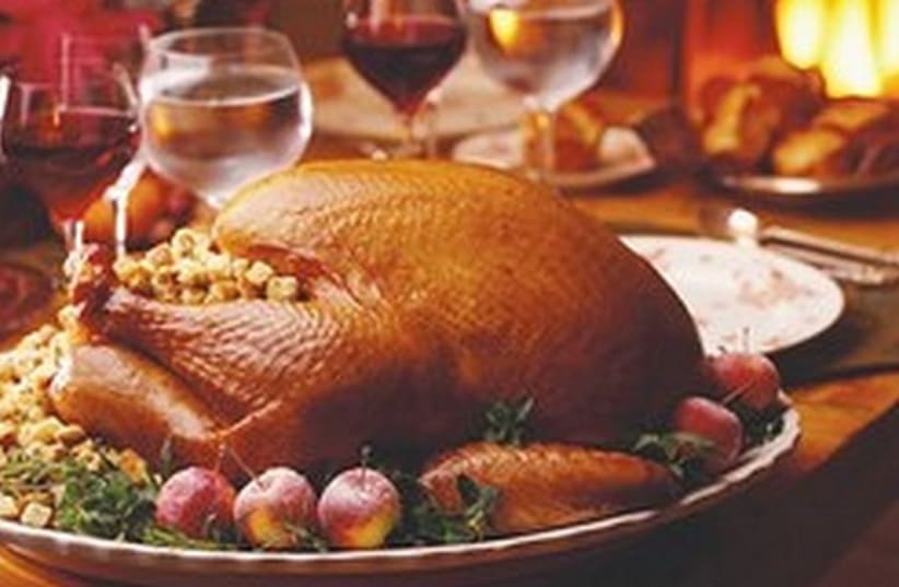Thanksgiving turkey 521 (photo credit: Courtesy)