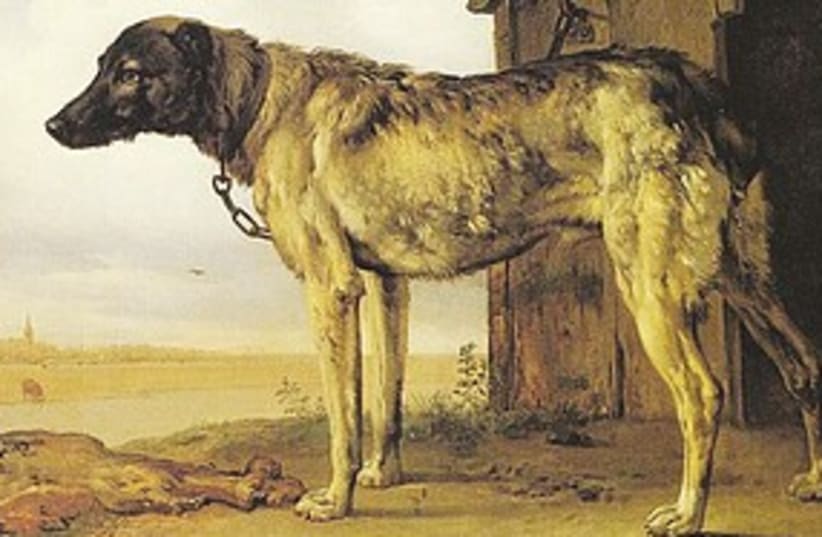 Dog painting 311 (photo credit: Paulus Potter, c.1650)