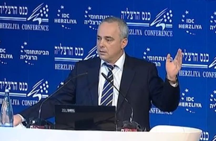 Finance Minister Yuval Steinitz, Herzliya Conference_390 (photo credit: YouTube screenshot)
