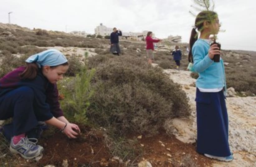 Girls planting tu bshvat 390 (photo credit: Ronen Zvulun/Reuters)