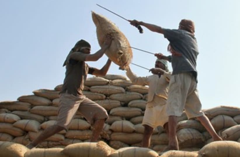 Rice ban (illustrative) (photo credit: REUTERS/Ajay Verma)