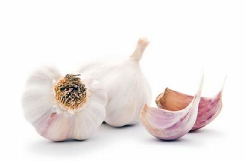 Garlic cloves (photo credit: Thinkstock/Imagebank)