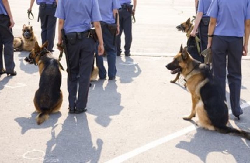 police search, search dogs, suspect_370 (photo credit: Thinkstock/Imagebank)