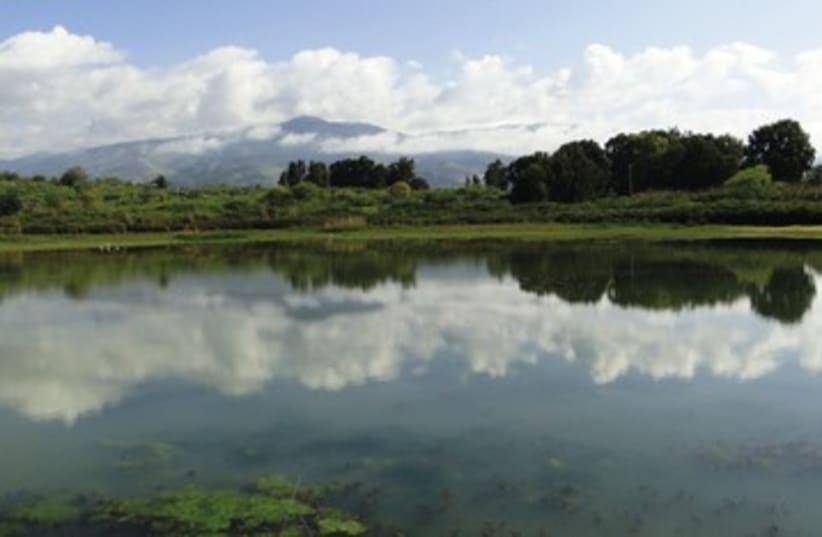 Tapline reservoir at Snir Nature Park 390 (photo credit: Doron Nissim/INPA)