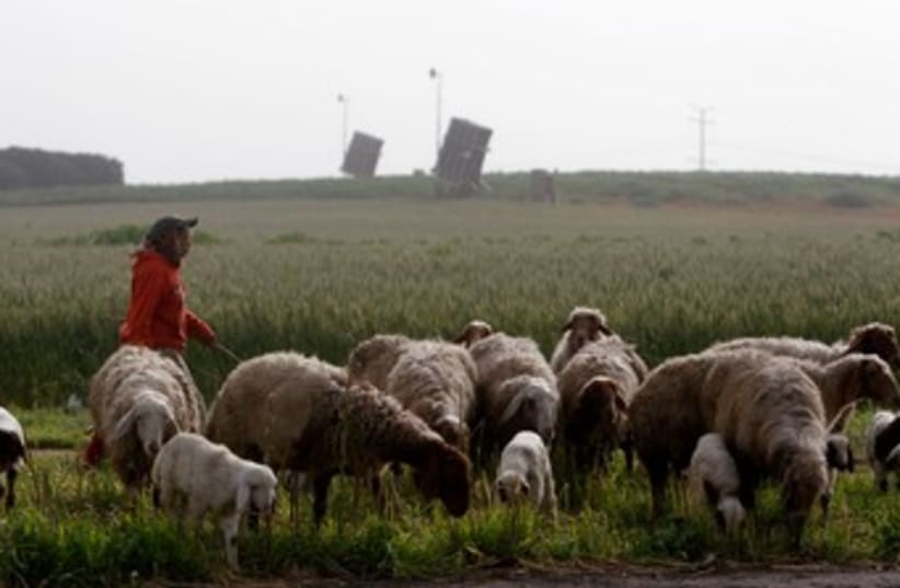 Beduin sheepherder with Iron Dome in background 370 (photo credit: REUTERS)