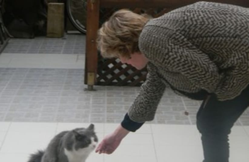 Ilene Lubin bends down to pet a cat 370 (photo credit: Ilene Lubin)