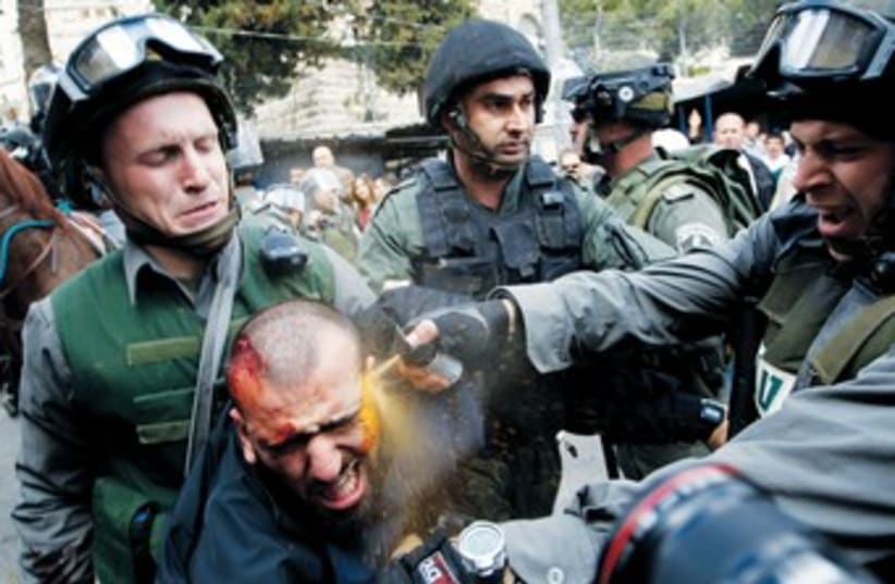 Border police use pepper spray as they detain protestor 370  (photo credit: Ammar Awad/Reuters)