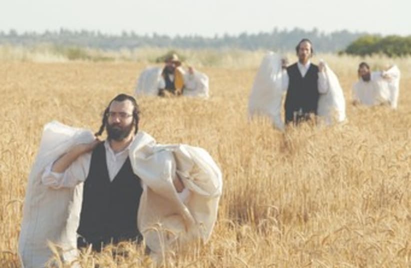 Haredim carry wheat-filled sacks for Pesah 370 (photo credit: REUTERS)