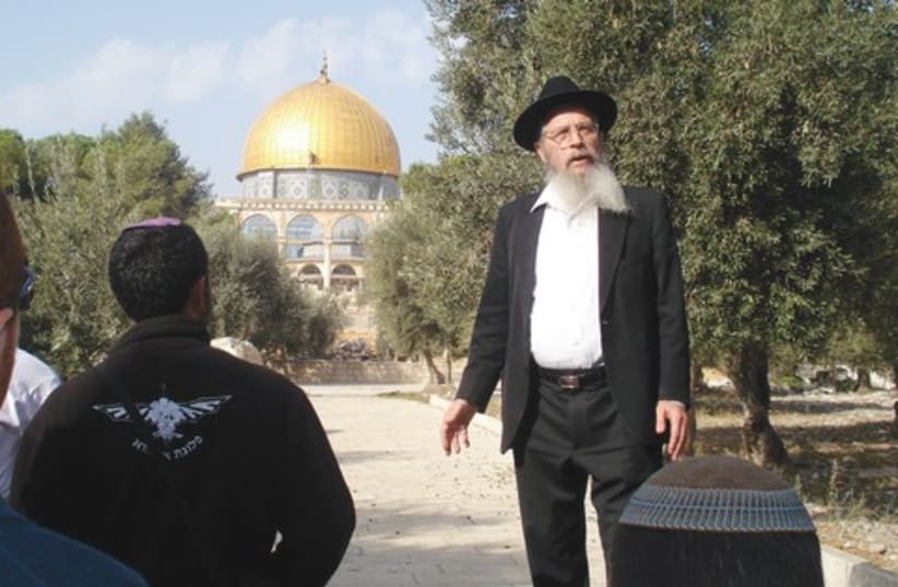 YISRAEL ARIEL giving a tour of the Temple Mount 521 (photo credit: Courtesy)