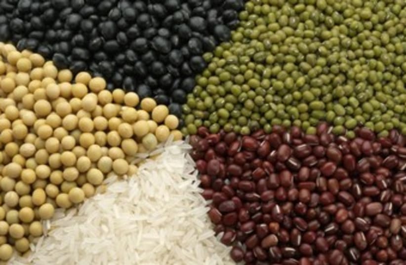 Variety of grains 370  (photo credit: Thinkstock/Imagebank)