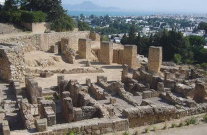 Carthage ruins 370 (photo credit: seth frantzman)