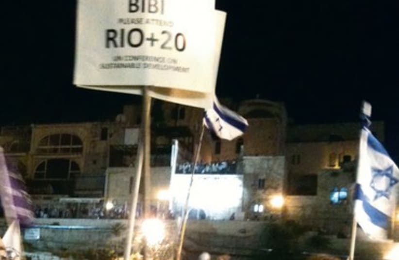 Activists call on PM to attend Rio+20  370  (photo credit: Courtesy Felipe Burman)