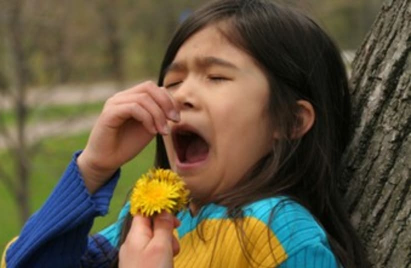 A young girl with allergies 370 (photo credit: Thinkstock/Imagebank)