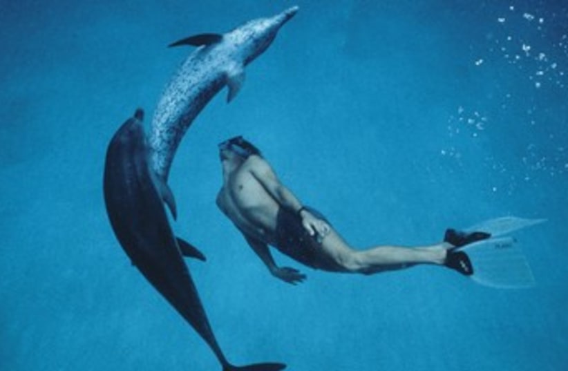 Dolphin therapy (photo credit: Amos Nachoum)