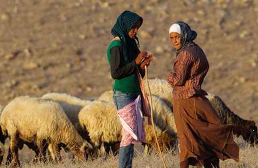 bedouine (photo credit: Reuters)