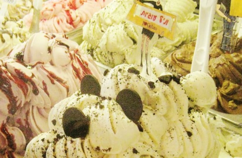 Ice cream (photo credit: Amy spiro)