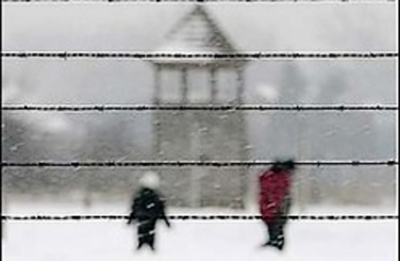 Auschwitz 224.88 (photo credit: AP)
