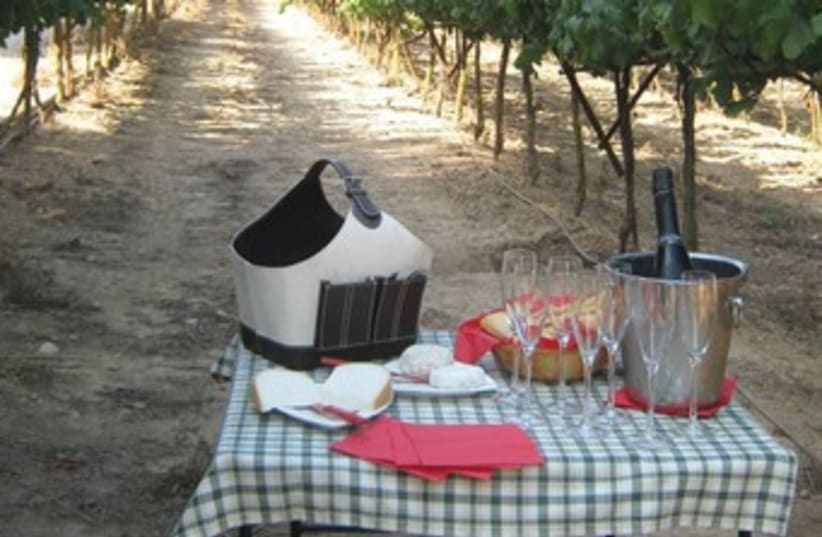 Wine and cheese in nature 370 (photo credit: Courtesy)