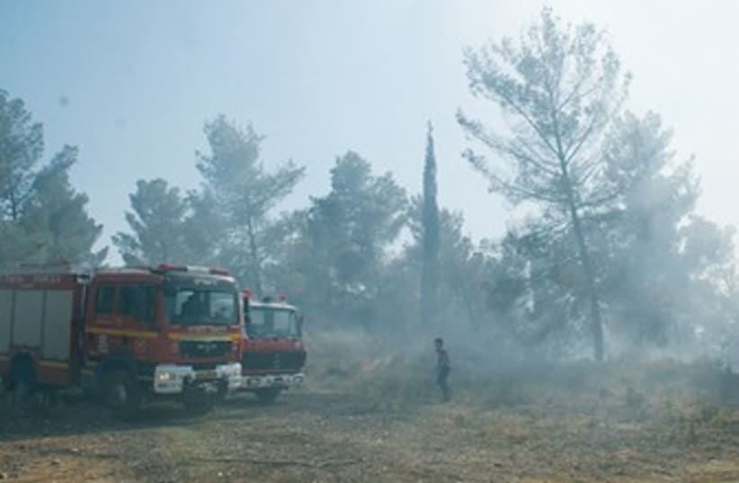 Jerusalem firefighters battle wildfire 370 (photo credit: Fire Department)