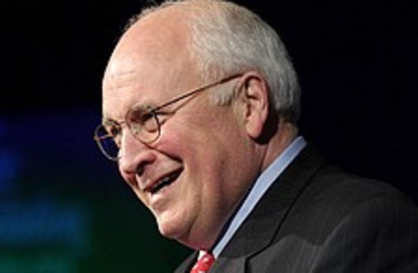 cheney funny smile 224.8 (photo credit: AP)