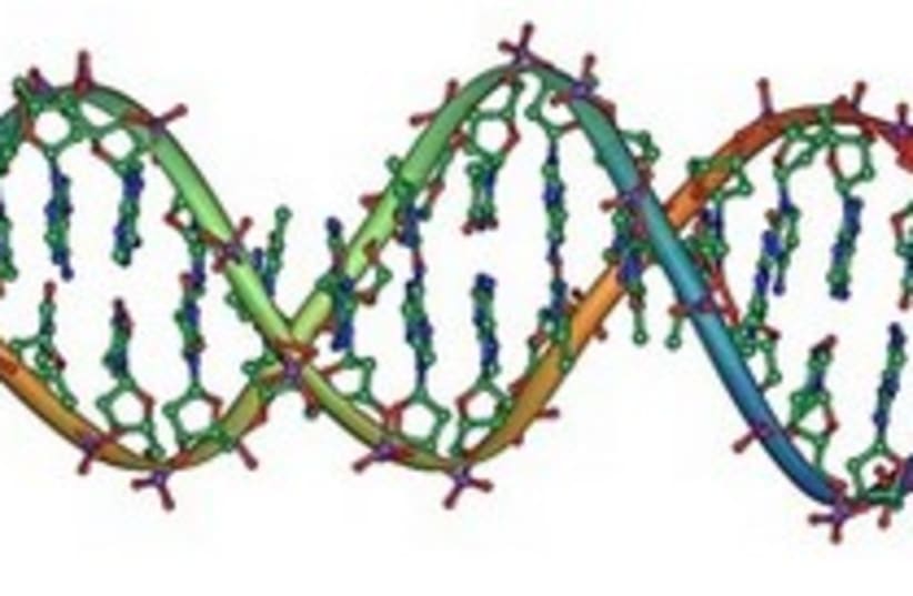 DNA strand double helix 300 (photo credit: Jerome Walker)