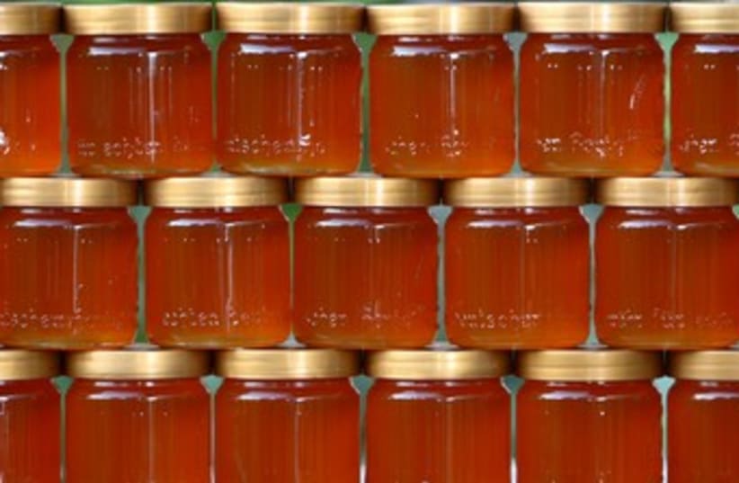 Honey 370 (photo credit: Wikicommons)