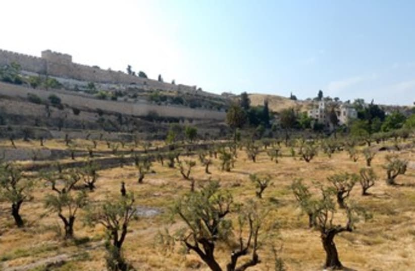 Kidron Valley (photo credit: BiblePlaces.com)