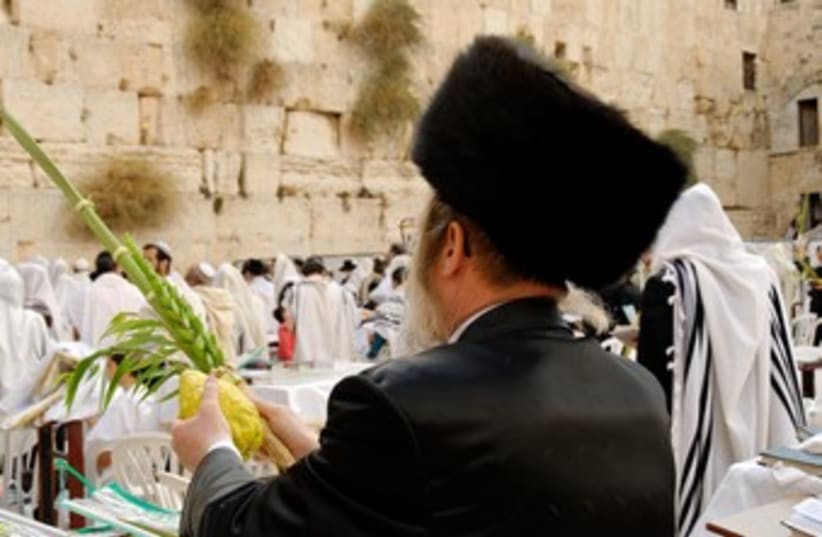 Man with four species at Kotel (photo credit: BiblePlaces.com)