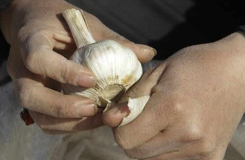 Garlic (photo credit: Reuters)