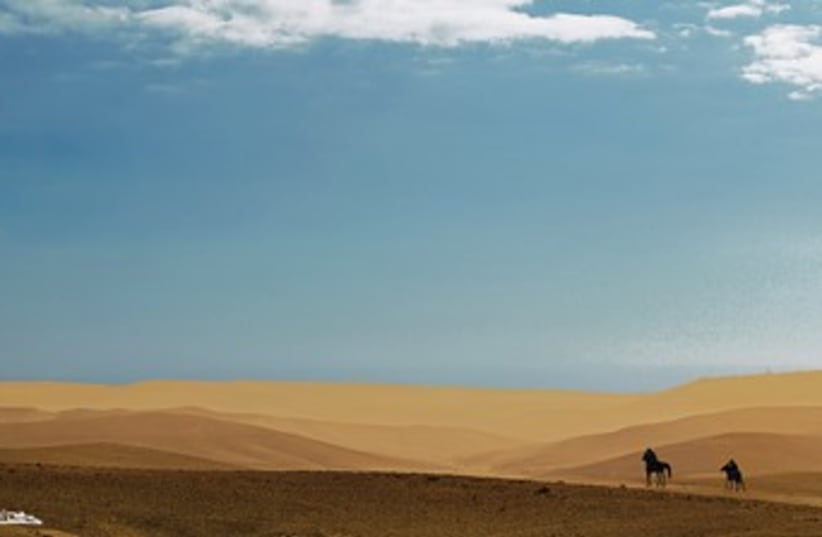 Horses in an expansive dune 370 (photo credit: Israel Weiss)