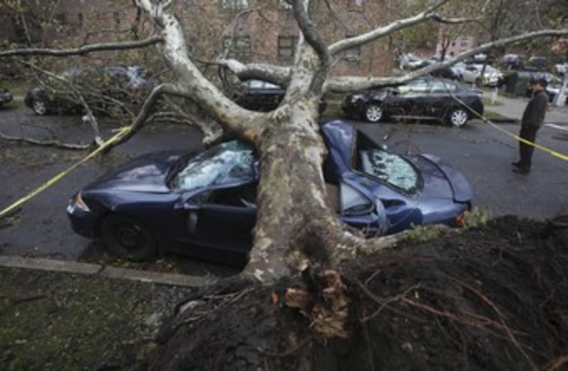 Tree felled by Sandy 370 (photo credit: REUTERS/Gil Cohen Magen)