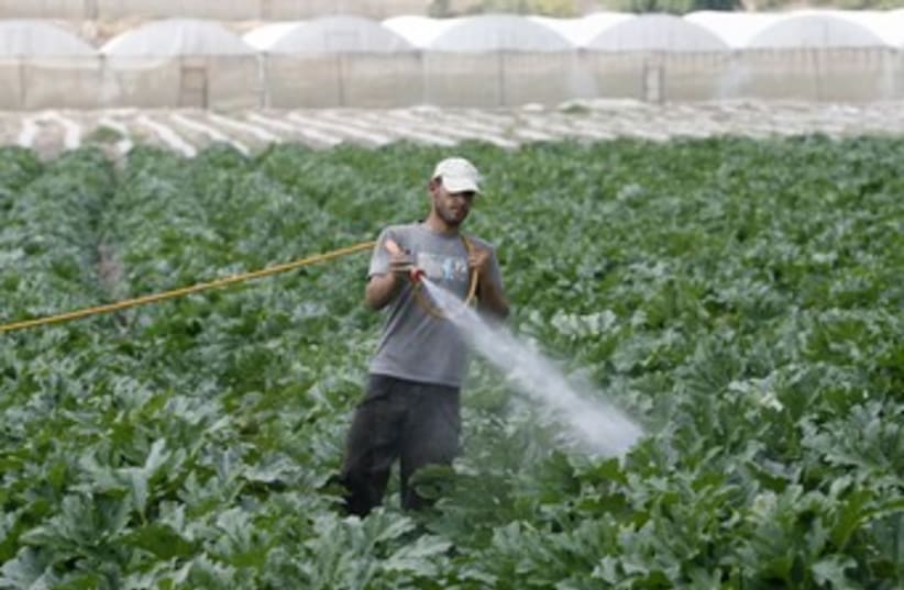 Palestinian farmer sprays pesticides 370 (photo credit: REUTERS/Mohamad Torokman)