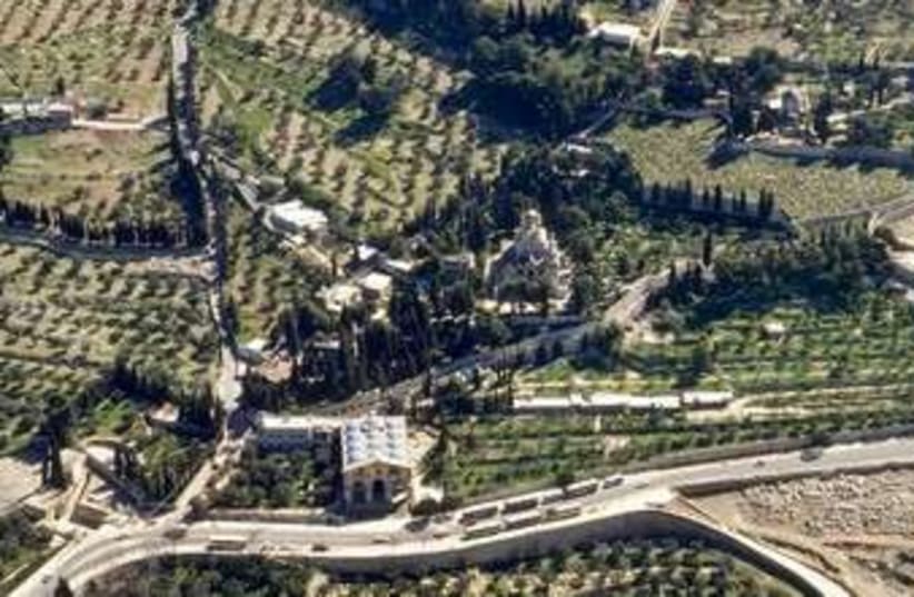 Garden of Gethsemane (photo credit: BiblePlaces.com)