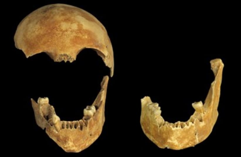 8,500-year-old skulls found in well 390 (photo credit: Clara Amit / Israel Antiquities Authority)