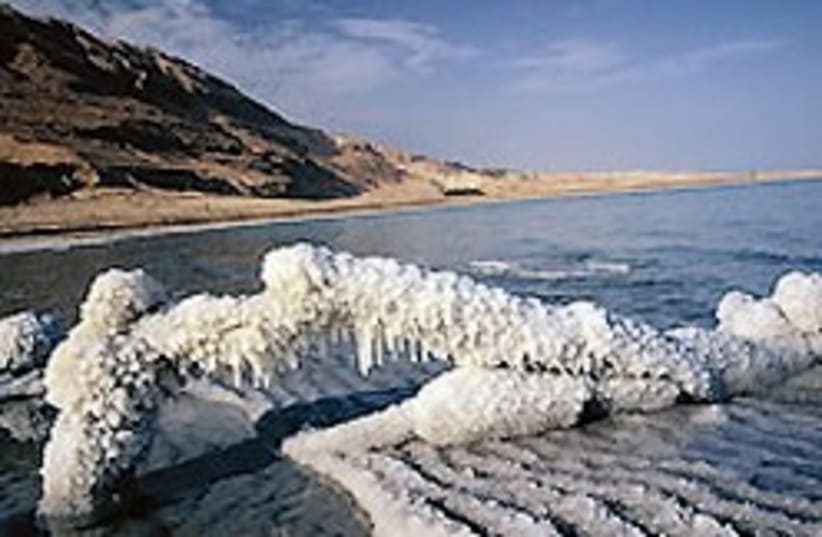 Dead Sea good 88 248 (photo credit: Courtesy)