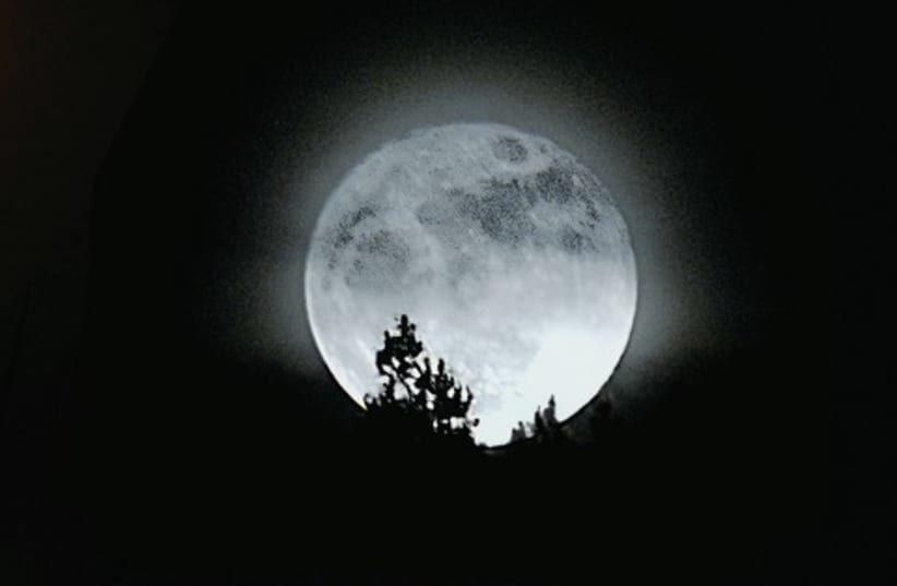 moon 521 (photo credit: Israel Weiss)