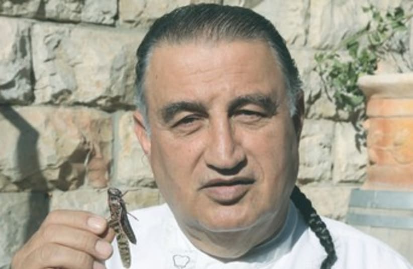 Chef Moshe Basson holds a locust 370 (photo credit: Marc Israel Sellem/The Jerusalem Post)